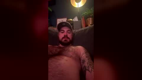 paw_and_order online show from July 7, 1:37 pm