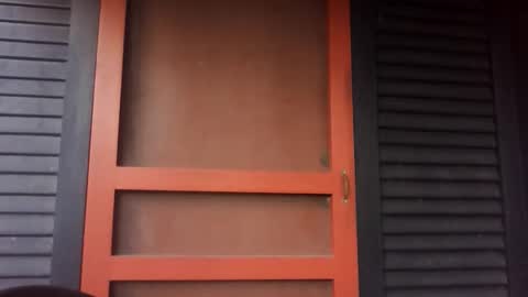 pecos8686 online show from November 9, 3:05 pm