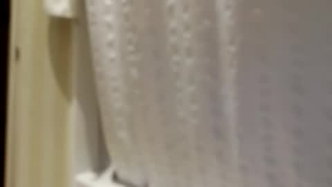 pigbear4trans online show from September 30, 6:51 am