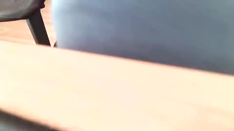 pigjens online show from October 14, 9:05 am