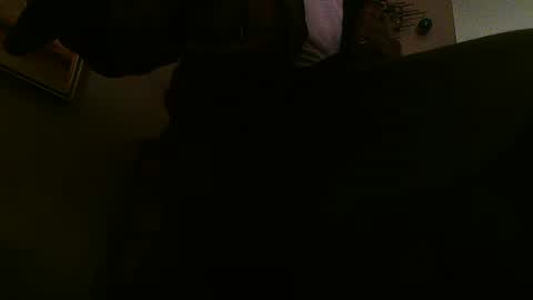 Snapshot of pinkledbeatles chatting on January 19, 2:36 am ZPGH420 online show from January 19, 2:36 am