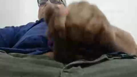 poli online show from December 14, 12:17 am