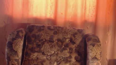 porn88s online show from March 3, 7:16 am