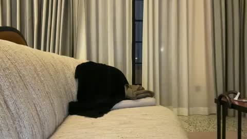 porntoyndr2 online show from November 20, 4:17 pm