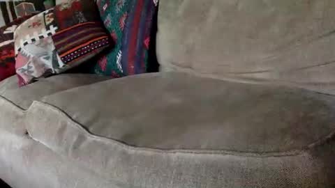 ppsmall_17 online show from April 22, 11:59 am