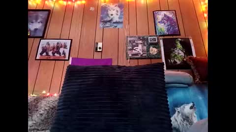 prettysolid7 online show from February 9, 10:03 pm