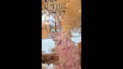 Pumpkinpatchman online show from April 3, 2:08 am