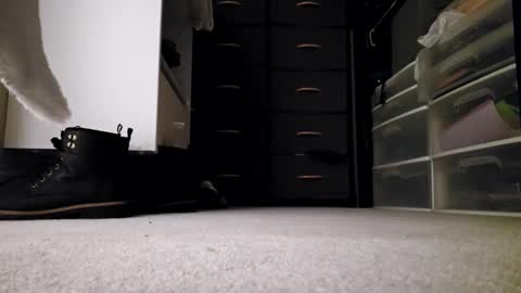 purplebanner6 online show from March 6, 11:14 am