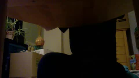 quetequeres online show from January 5, 8:23 pm