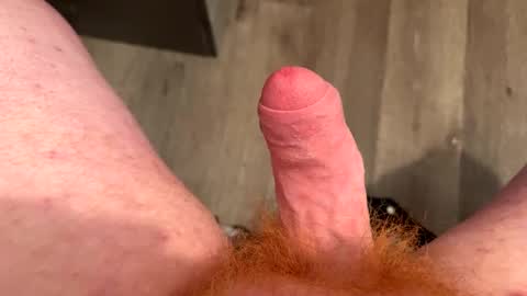 redbeard275 online show from January 31, 6:25 pm