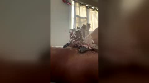 rektdaddy online show from April 21, 11:22 pm