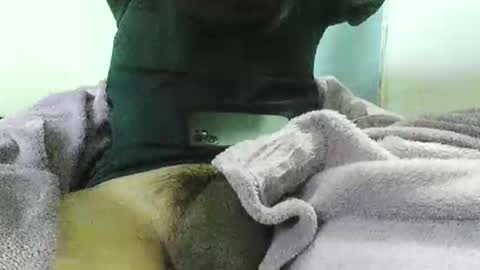 reuuven online show from February 24, 12:12 am