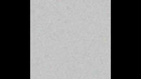 Reynspen online show from January 11, 11:08 pm