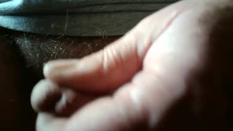 Always crusing cams online show from February 18, 6:27 pm