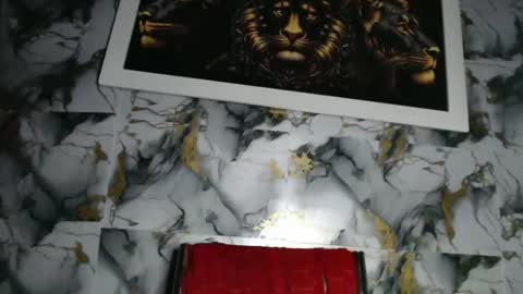 rigel online show from February 24, 6:41 pm