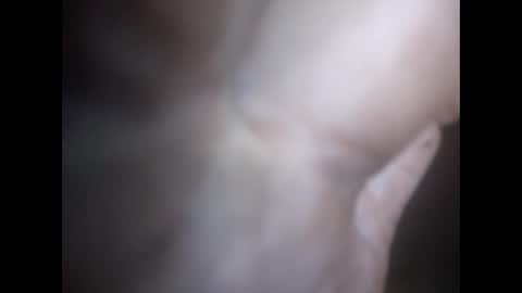 robertsaiz4200 online show from February 18, 9:29 am