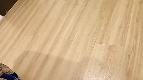 rockikoki online show from March 16, 4:33 pm