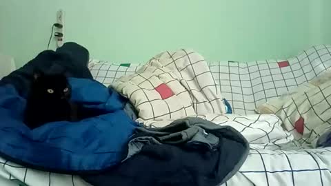 Mr. Red online show from March 1, 3:44 pm