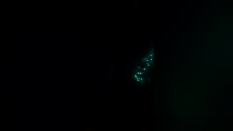 rooster809192 online show from April 20, 4:53 pm