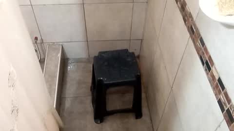 rotacini online show from March 31, 5:25 pm