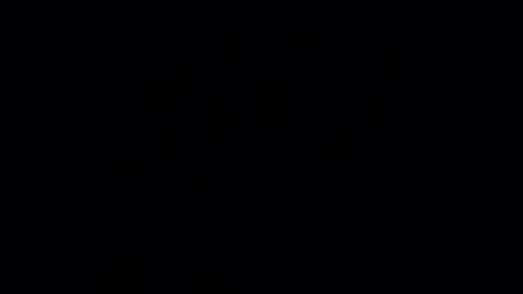 Ryland online show from December 16, 4:41 am