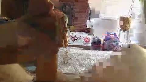 ryanbobby88 online show from September 22, 11:37 pm