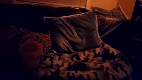 RFC666 online show from February 22, 10:38 am