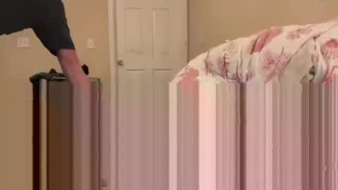 sabrosocockcarnesandwich online show from November 3, 5:00 am