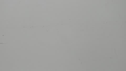 SALVATORE online show from February 5, 11:23 am