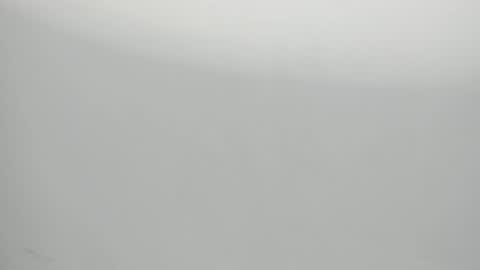 SALVATORE online show from January 29, 11:09 am