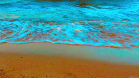 OmniNegate online show from November 11, 7:41 pm