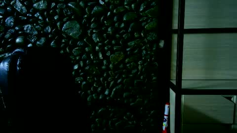 Santino online show from November 11, 6:40 am