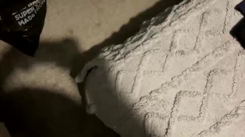 scottyc48 online show from November 19, 3:34 pm