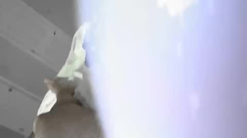 scottyla3107 online show from April 10, 4:19 am