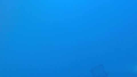 Sebastian online show from November 30, 11:18 pm