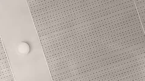 sefford716218 online show from March 4, 11:08 am