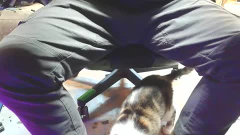 selfpound online show from February 12, 12:38 am