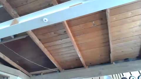 septpouce77 online show from January 25, 8:21 pm