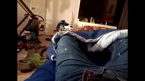 shagnasty95 online show from February 14, 12:25 pm