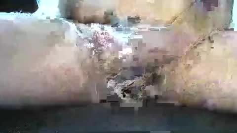 Shii online show from January 21, 3:39 pm