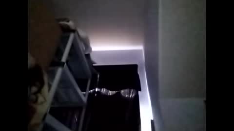 sil15nissan online show from February 26, 6:31 pm