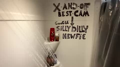 Silly Dilly Newfie online show from July 4, 6:00 pm
