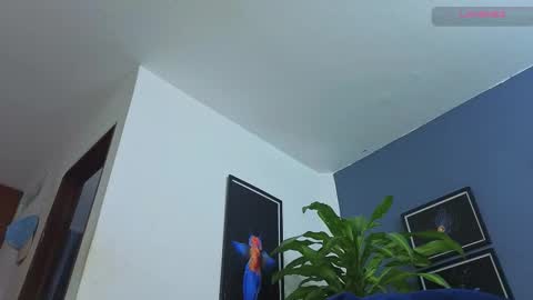 silvabranko online show from December 4, 2:51 am