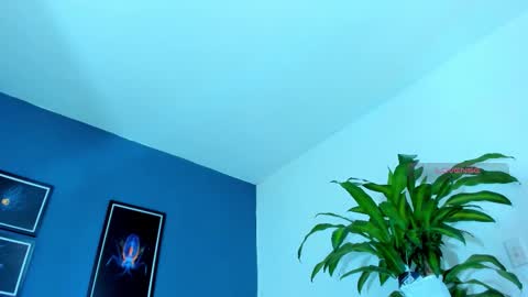 silvabranko online show from October 25, 11:06 pm