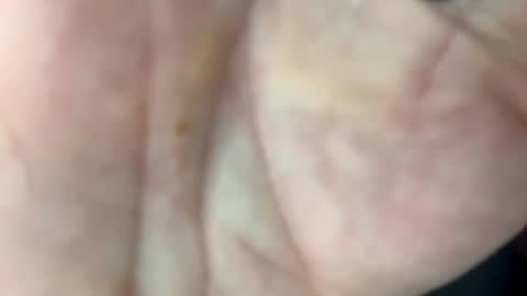 BEEF online show from March 3, 9:50 am