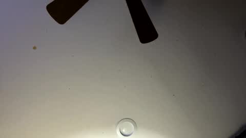 Snapshot of slickdog1969 chatting on January 30, 6:03 am Slickdog online show from January 30, 6:03 am