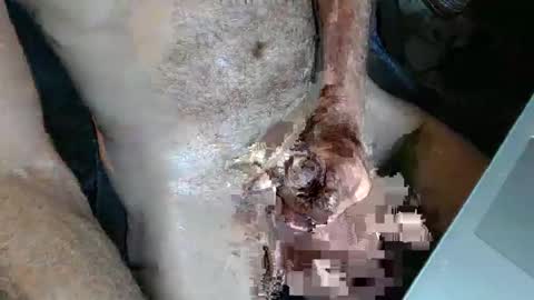 slyfast1 online show from November 6, 5:21 am