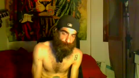 willy online show from January 12, 6:39 am