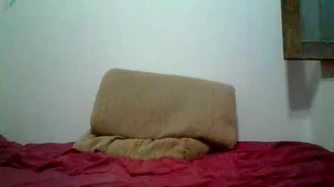 willy online show from February 11, 11:33 pm