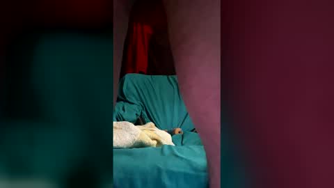 sohan730903 online show from April 2, 1:41 pm